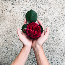 Load image into Gallery viewer, THE HERBAL GOODS ROSE SIGNATURE BOX